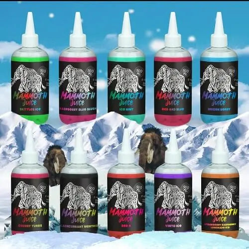 Forest Fruits 500ml E-Liquid By Mammoth Juice - Vape wholesale supplies