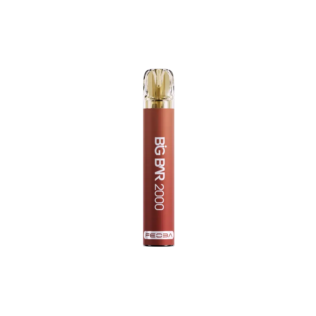 Feoba Big Bar 2000 Puffs Disposable Vape Box of 10 - Vape wholesale supplies 