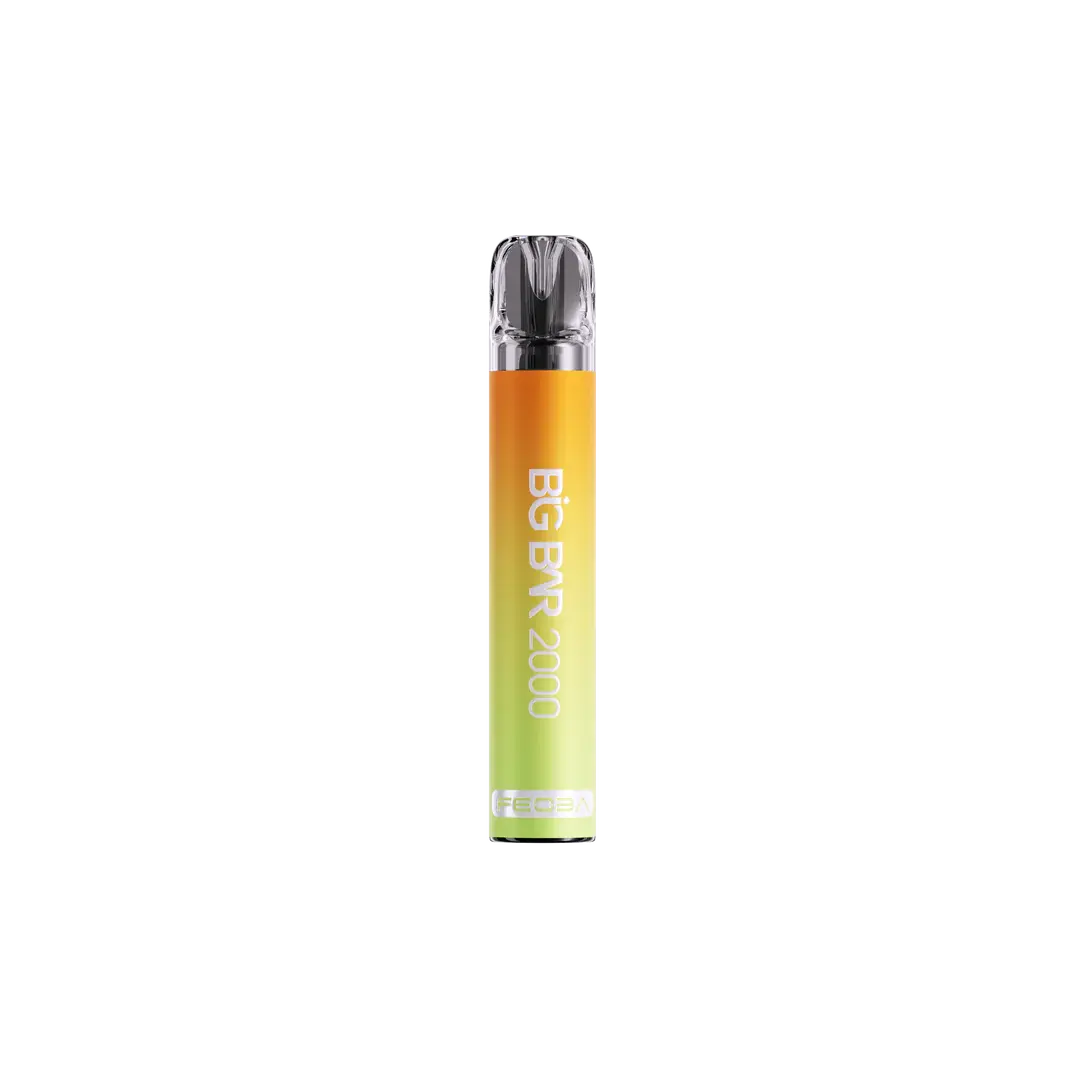 Feoba Big Bar 2000 Puffs Disposable Vape Box of 10 - Vape wholesale supplies 