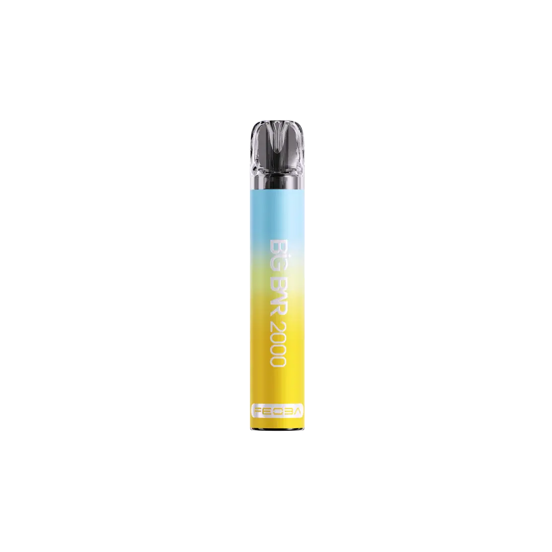 Feoba Big Bar 2000 Puffs Disposable Vape Box of 10 - Vape wholesale supplies 